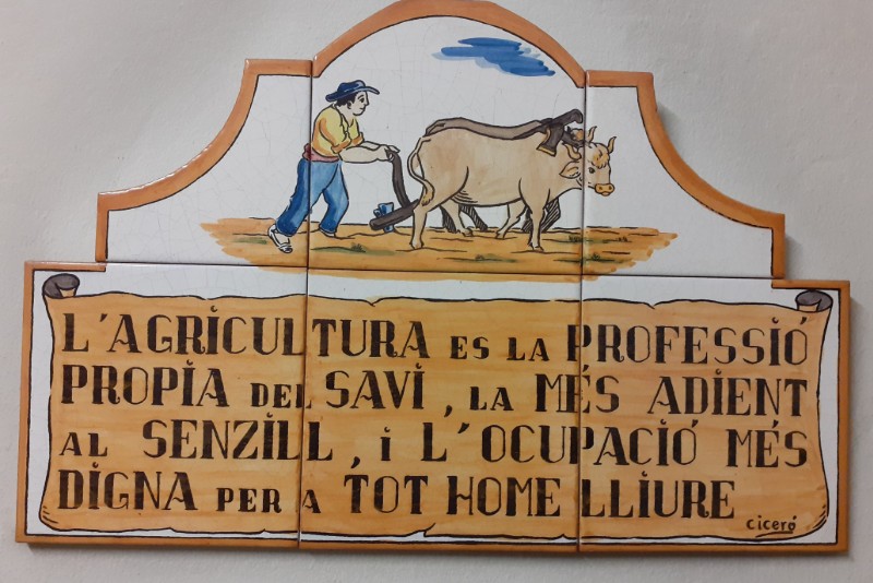 Treballs agrícoles i desbrossaments - 2